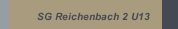 SG Reichenbach 2 U13